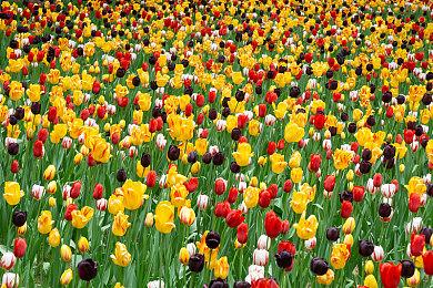 《生灵之境：亚娃》实机演示 年内发售