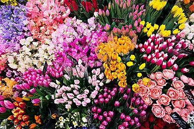 《九阴真经：修仙》概念视频 虚幻5开放世界修仙游戏