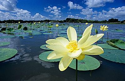 《守望先锋2》团队计划在4月公布未来更新细节